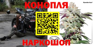 прущие крисы Краснознаменск