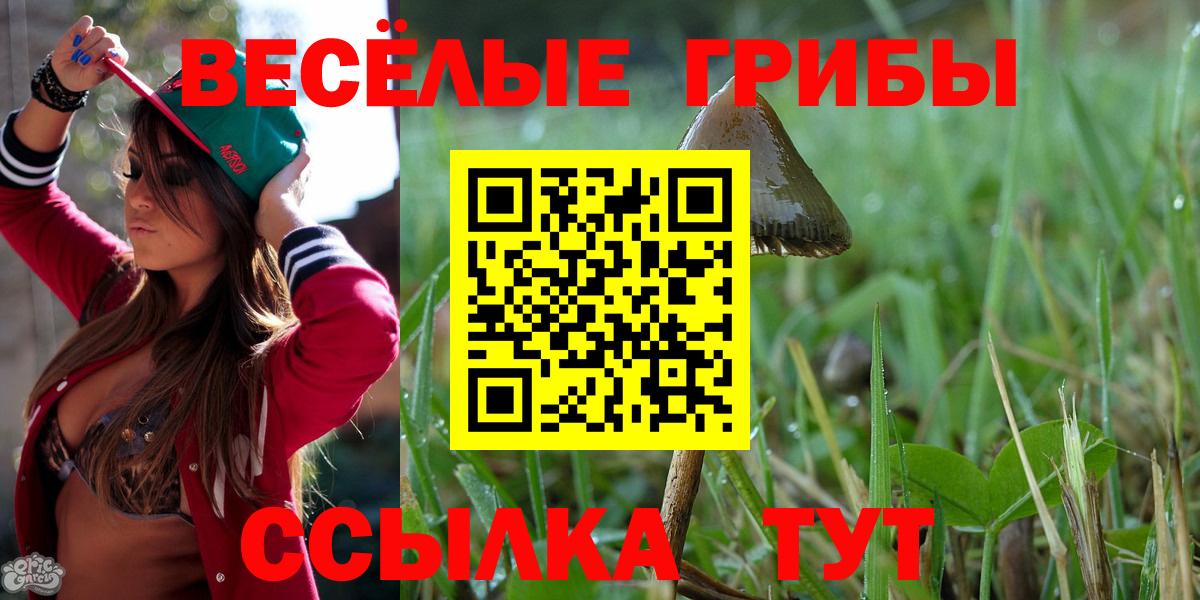 Королёв  что такое   Вход с VPN  Псилоцибиновые грибы MAGIC MUSHROOMS 