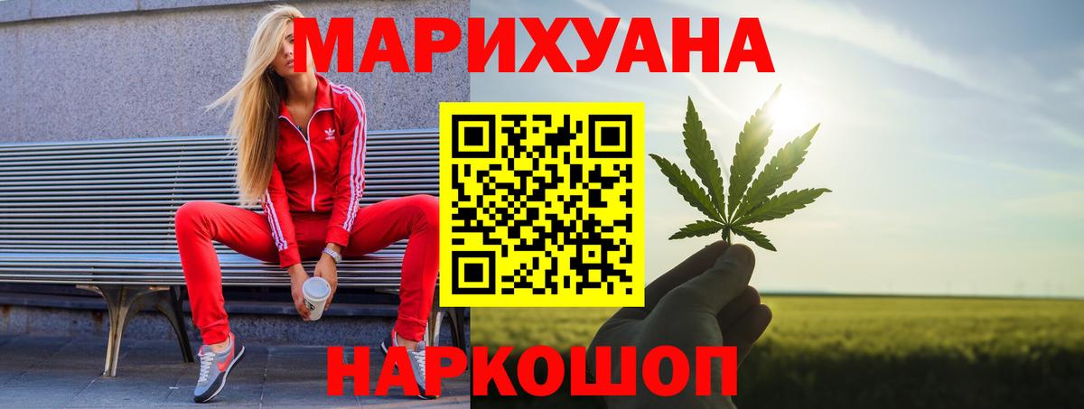 Конопля сатива Королёв